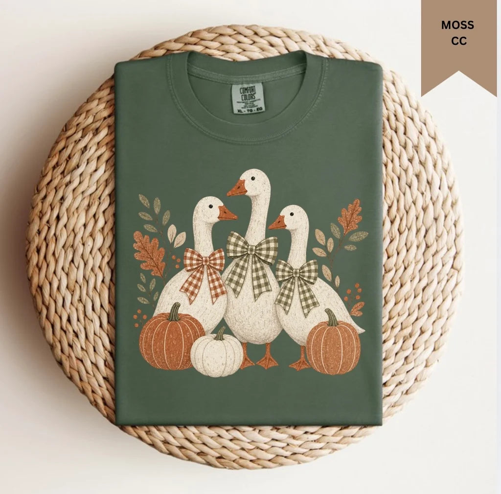✨PREORDER ETA 2 WEEKS✨ Fall Pumpkin Geese Graphic Tee