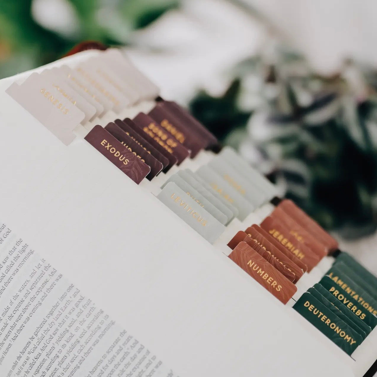 Jewel Bible Tabs