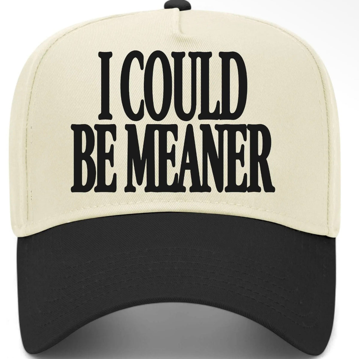 ✨PREORDER | ETA 2 WEEKS✨ I Could Be Meaner Hat (4 Colors)
